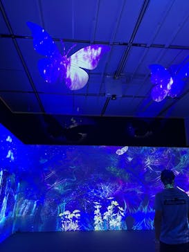 体感するファーブル昆虫展 NAGOYAに投稿された画像（2022/8/26）