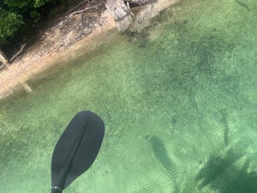 Bluebird Canoe（ブルーバードカヌー）に投稿された画像（2022/8/26）