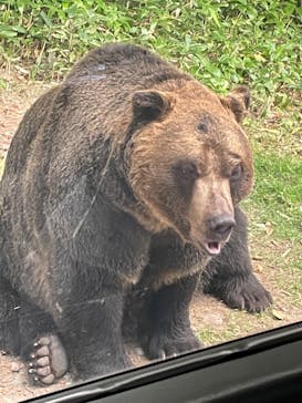 サホロリゾート　ベア･マウンテンに投稿された画像（2022/8/26）