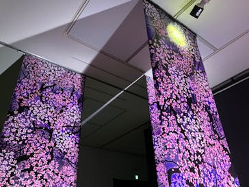 安祥文化のさとに投稿された画像（2022/8/26）