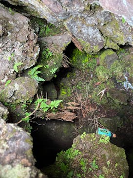 鬼押出し園に投稿された画像（2022/8/26）