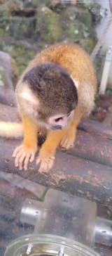 伊豆シャボテン動物公園に投稿された画像（2022/8/26）