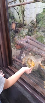 伊豆シャボテン動物公園に投稿された画像（2022/8/26）