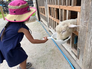 淡路ファームパーク イングランドの丘に投稿された画像（2022/8/26）