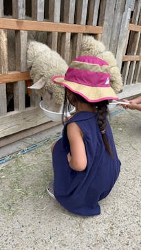 淡路ファームパーク イングランドの丘に投稿された画像（2022/8/26）