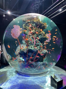 felissimo chocolate museum（フェリシモチョコレートミュージアム）に投稿された画像（2022/8/26）