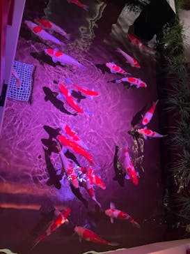 felissimo chocolate museum（フェリシモチョコレートミュージアム）に投稿された画像（2022/8/26）