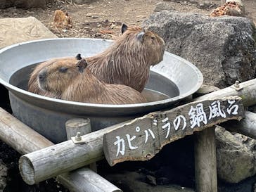 伊豆シャボテン動物公園に投稿された画像（2022/8/26）