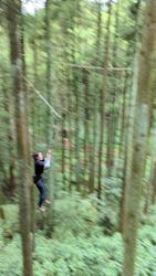 ツリークロスアドベンチャー厚木・七沢に投稿された画像（2022/8/27）