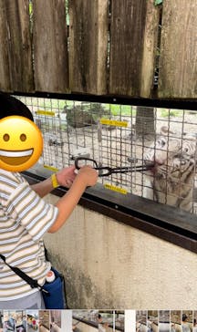 群馬サファリパークに投稿された画像（2022/8/27）