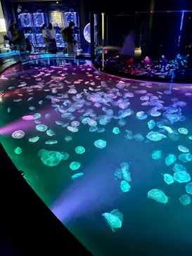 すみだ水族館に投稿された画像（2022/8/27）