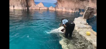 名古屋港水族館に投稿された画像（2022/8/27）