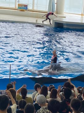 アクアワールド茨城県大洗水族館に投稿された画像（2022/8/27）