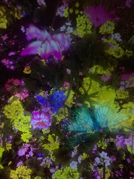 チームラボプラネッツ TOKYO DMMに投稿された画像（2022/8/27）