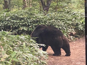 サホロリゾート　ベア･マウンテンに投稿された画像（2022/8/27）