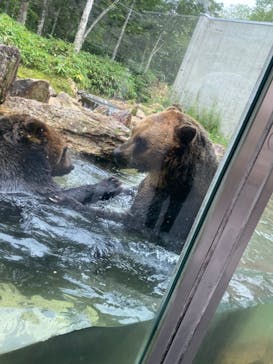 サホロリゾート　ベア･マウンテンに投稿された画像（2022/8/27）