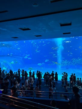 沖縄美ら海水族館に投稿された画像（2022/8/27）