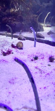 名古屋港水族館に投稿された画像（2022/8/27）