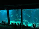 マリンワールド海の中道に投稿された画像（2022/8/27）