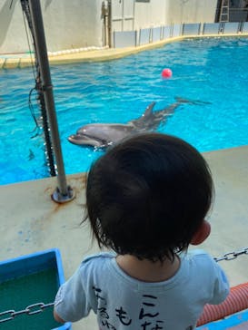 伊豆・三津シーパラダイスに投稿された画像（2022/8/27）