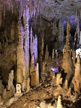 おきなわワールドに投稿された画像（2022/8/27）