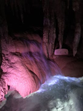 おきなわワールドに投稿された画像（2022/8/27）