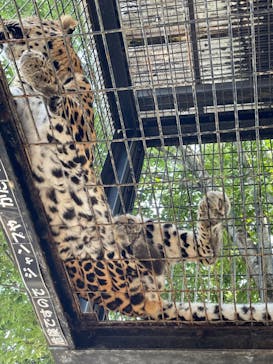 群馬サファリパークに投稿された画像（2022/8/27）