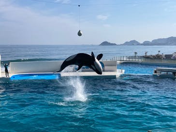 鴨川シーワールドに投稿された画像（2022/8/27）