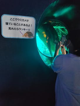 箱根園水族館に投稿された画像（2022/8/27）
