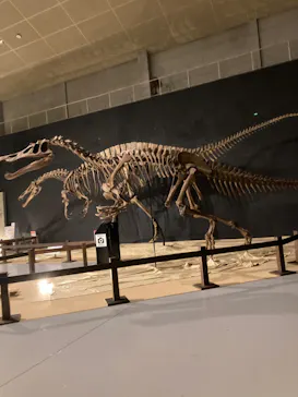 ひらかたパークに投稿された画像（2022/8/27）