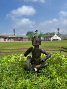 モビリティリゾートもてぎに投稿された画像（2022/8/27）