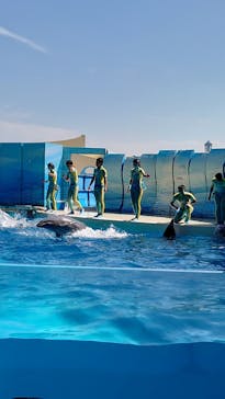 新江ノ島水族館に投稿された画像（2022/8/27）