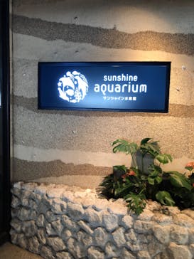 サンシャイン水族館に投稿された画像（2022/8/27）