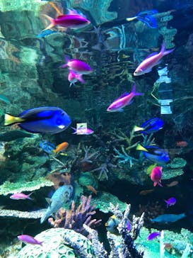 サンシャイン水族館に投稿された画像（2022/8/27）