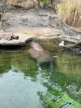 天王寺動物園に投稿された画像（2022/8/27）