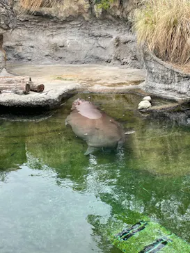 天王寺動物園に投稿された画像（2022/8/27）