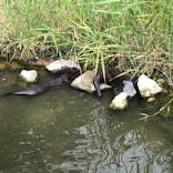 神戸どうぶつ王国に投稿された画像（2022/8/27）