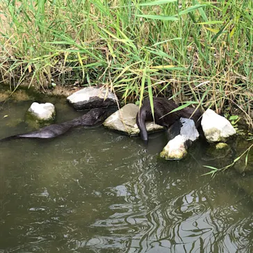 神戸どうぶつ王国に投稿された画像（2022/8/27）