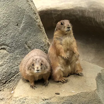 神戸どうぶつ王国に投稿された画像（2022/8/27）