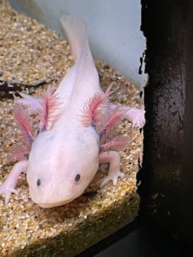 サンシャイン水族館に投稿された画像（2022/8/27）