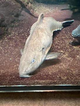 サンシャイン水族館に投稿された画像（2022/8/27）