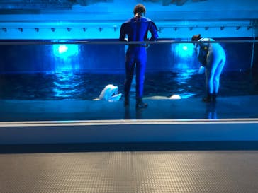 島根県立 しまね海洋館に投稿された画像（2022/8/27）