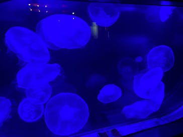 株式会社Gに投稿された画像（2022/8/27）