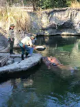 天王寺動物園に投稿された画像（2022/8/27）