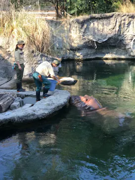 天王寺動物園に投稿された画像（2022/8/27）