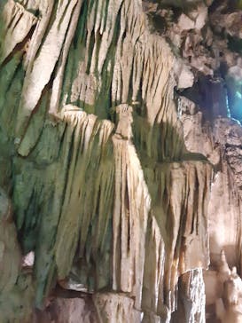 あぶくま洞に投稿された画像（2022/8/27）