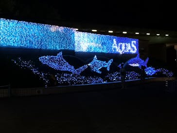 島根県立 しまね海洋館に投稿された画像（2022/8/27）