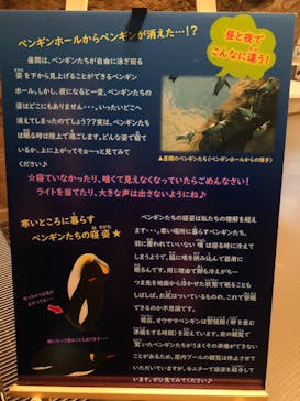 島根県立 しまね海洋館に投稿された画像（2022/8/27）