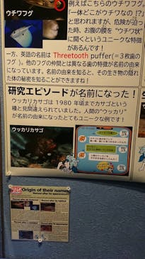 沖縄美ら海水族館に投稿された画像（2022/8/27）