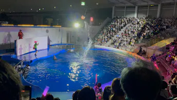 仙台うみの杜水族館に投稿された画像（2022/8/27）